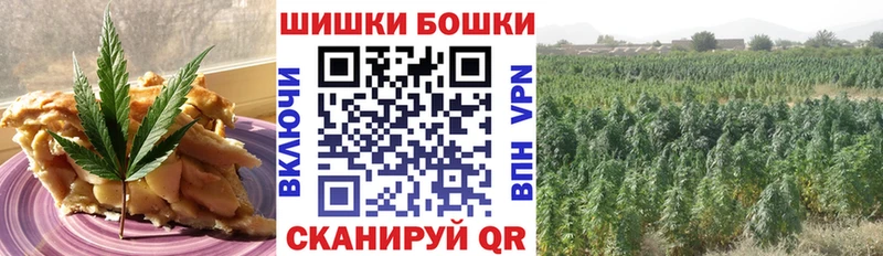 Купить где  Кушва  Cannafood конопля 