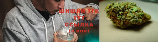 прущие грибы Верхнеуральск