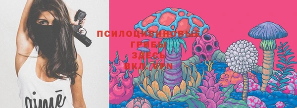 молекула духа Верея
