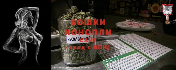 прущие грибы Верхнеуральск