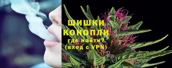 прущие грибы Верхнеуральск