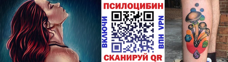 Псилоцибиновые грибы Cubensis  Купить  Кушва 
